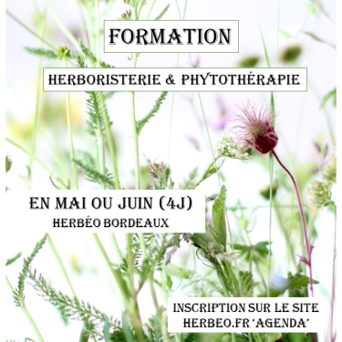 Formation Herboristerie et Phytothérapie